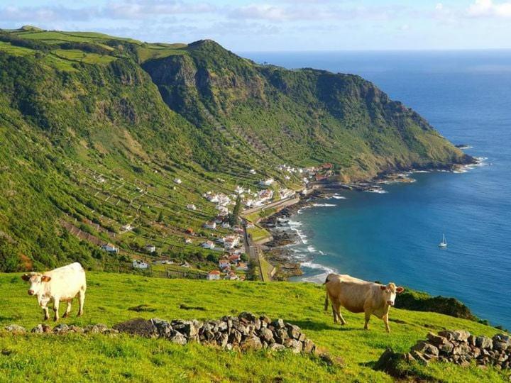 Azor International House Villa Ponta Delgada Kültér fotó